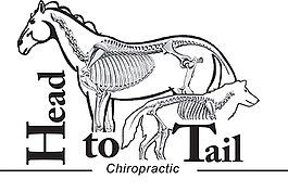 Head to Tail